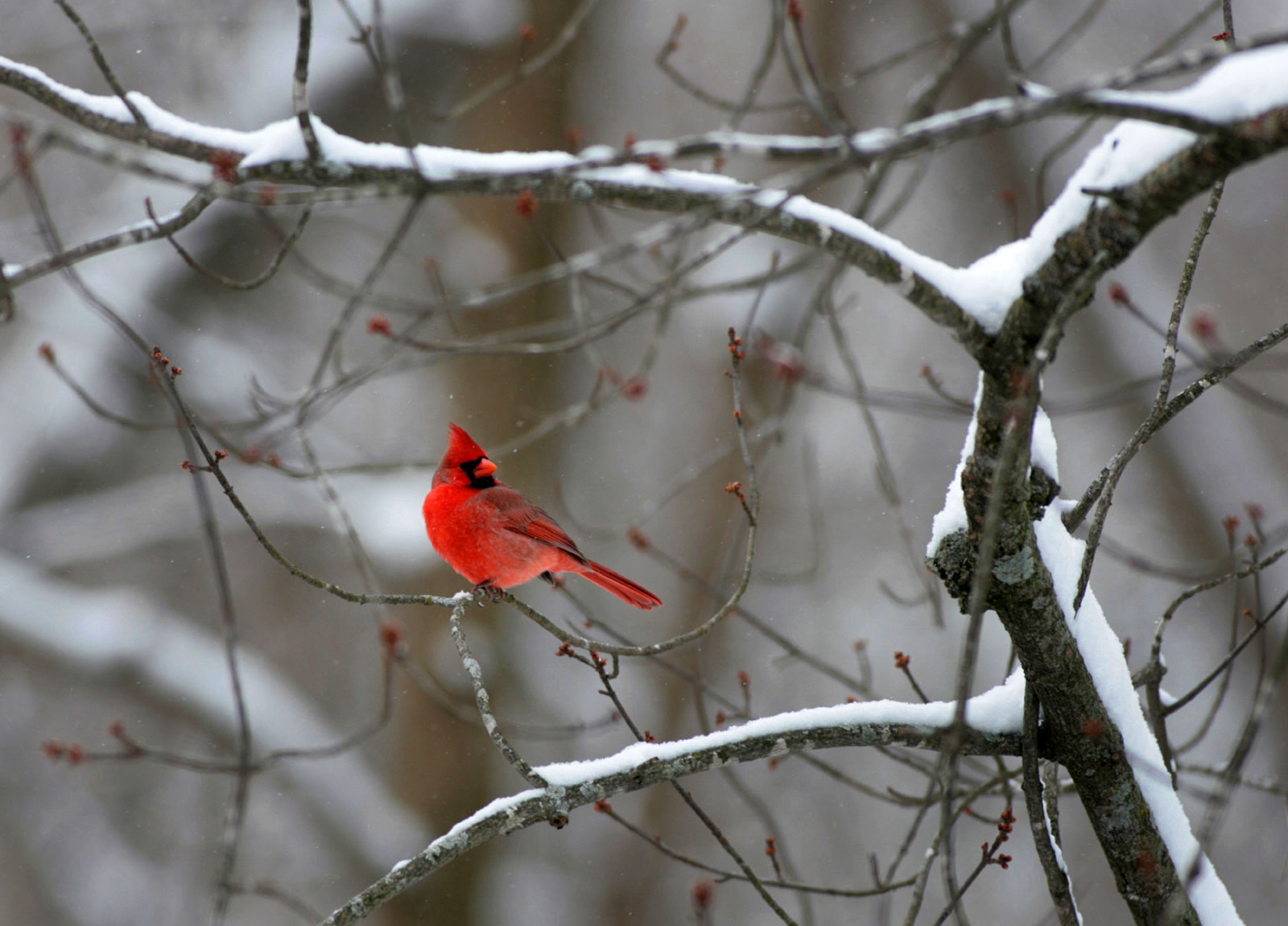112020bp-31-years-nature19